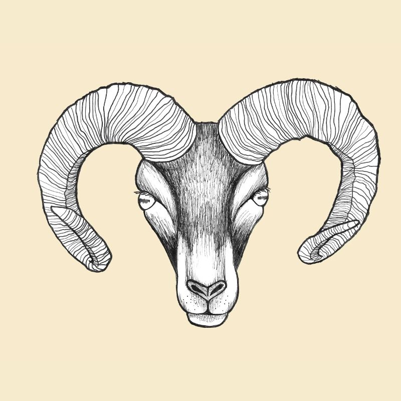 widderkopf