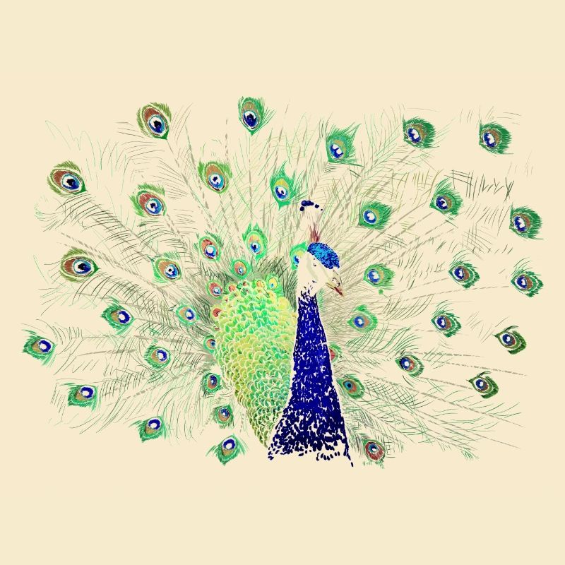 Pfau