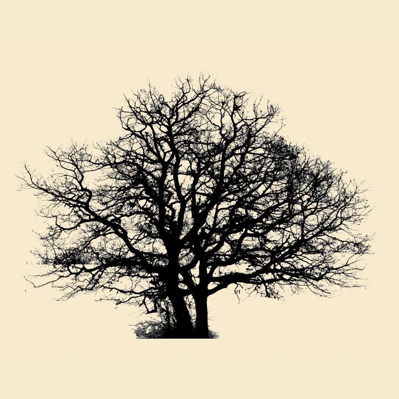 Trockener Baum