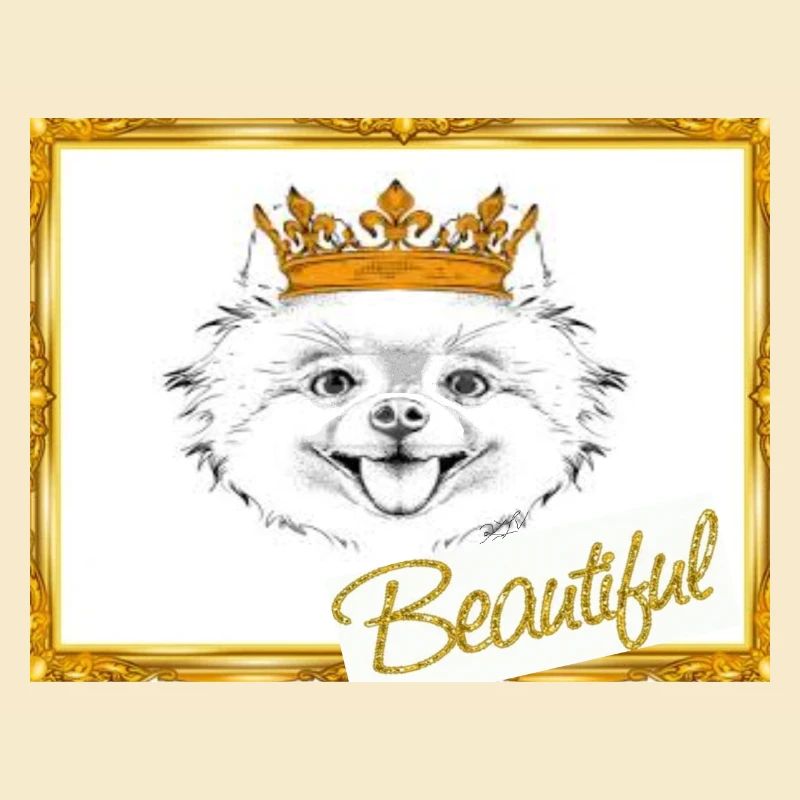 Beauté, T-shirt, Pull, Accessoires