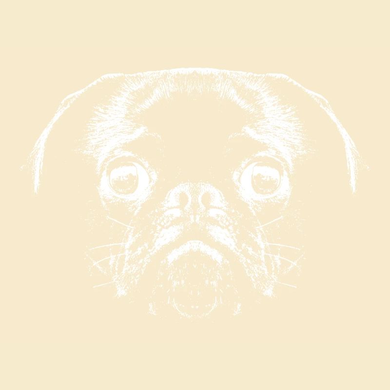 Mops / Gesicht / Kopf
