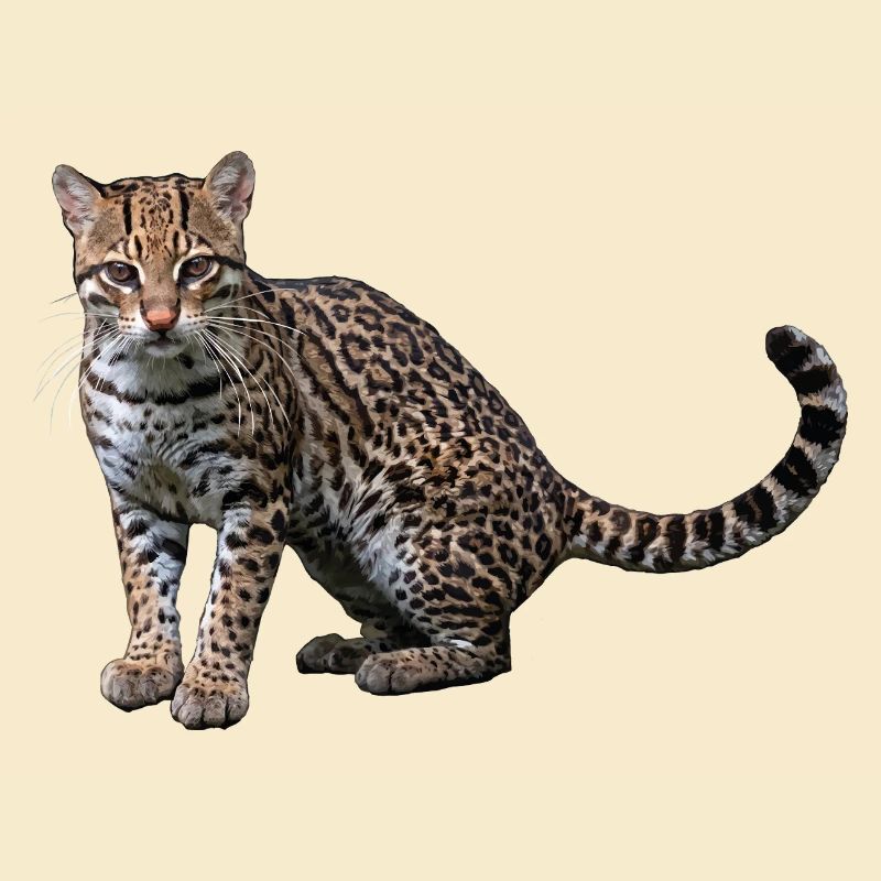 Künstlerischer Leopard