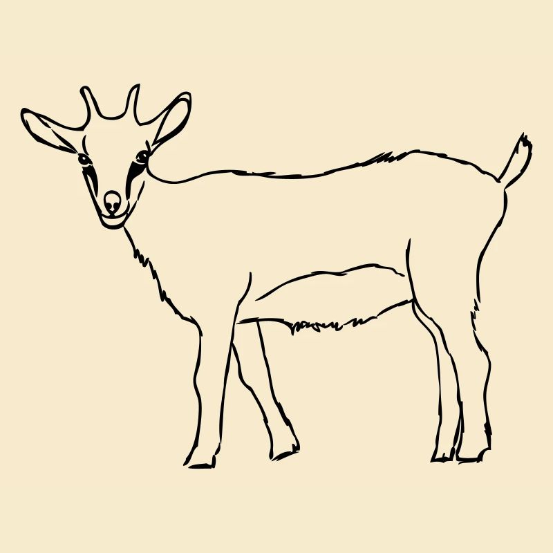 Ziege
