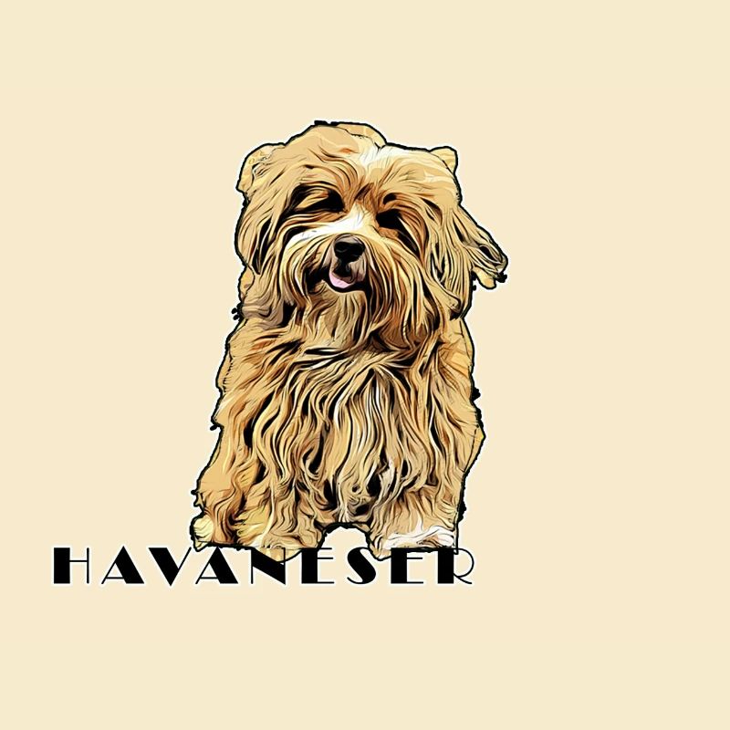 Havanese Comic Text2