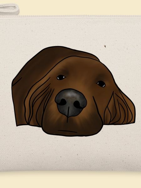 Irish setter