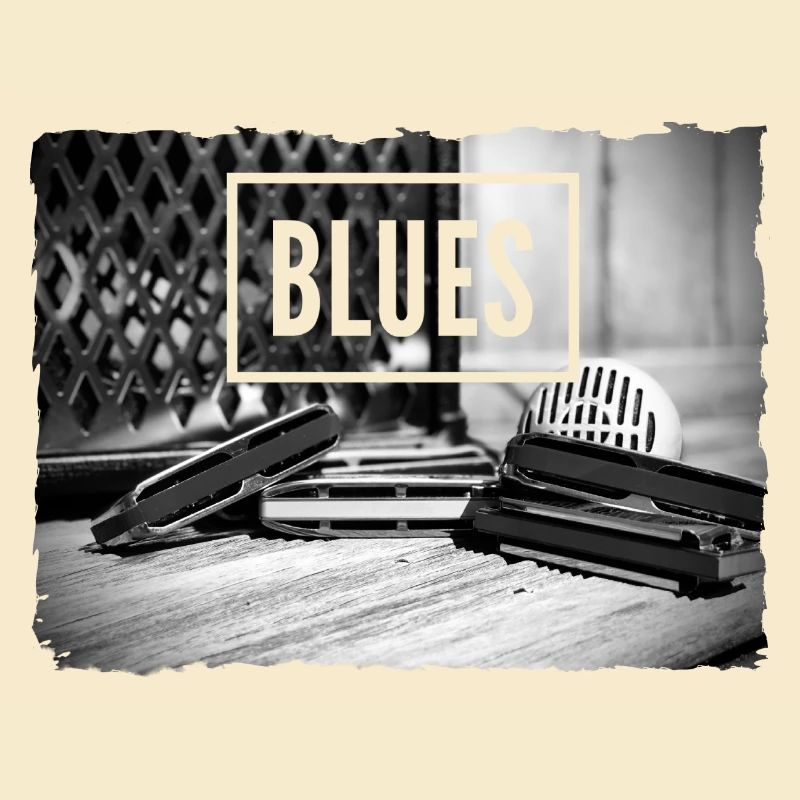 Blues harmonica for harmonica player