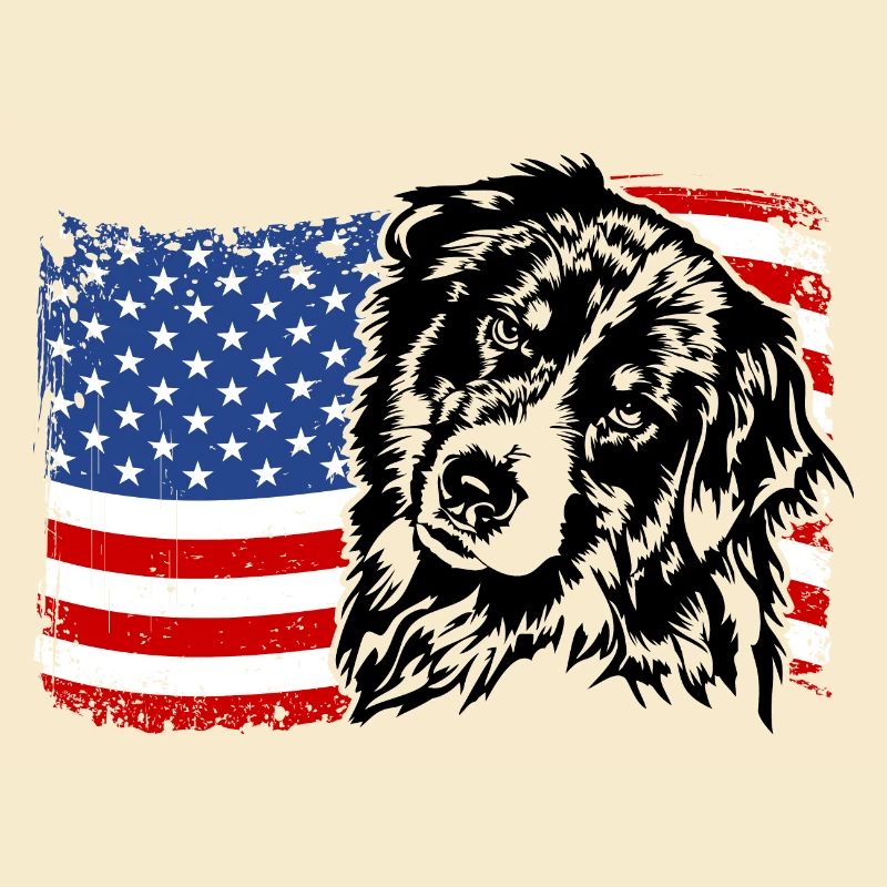 BERGER AUSTRALIEN Amérique Drapeau Aussie Wilsigns