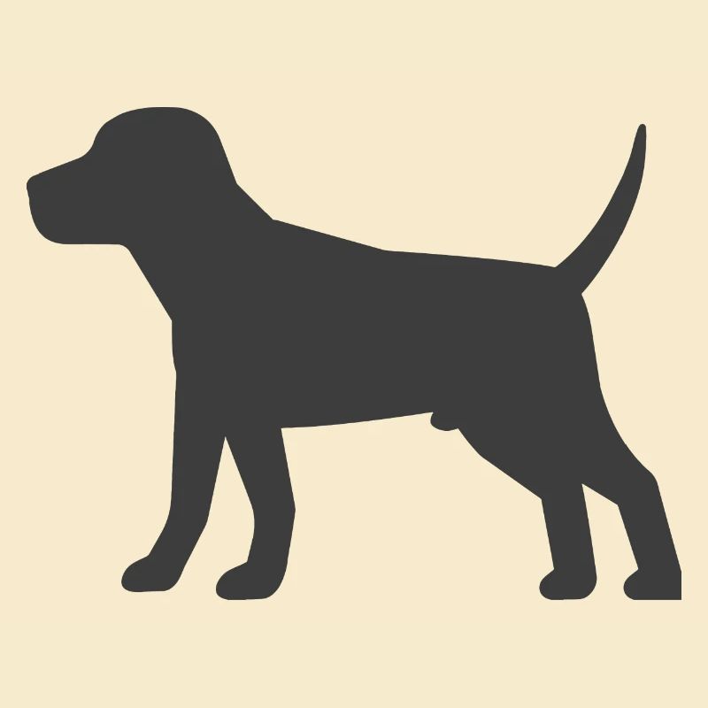Hund