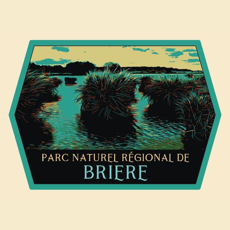 Marais Parc naturel de Brière: Authentic Nature