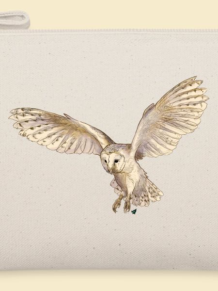Wunderschöne Schleiereule im Flug