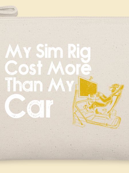 Sim-Rig kostete mehr als mein Auto