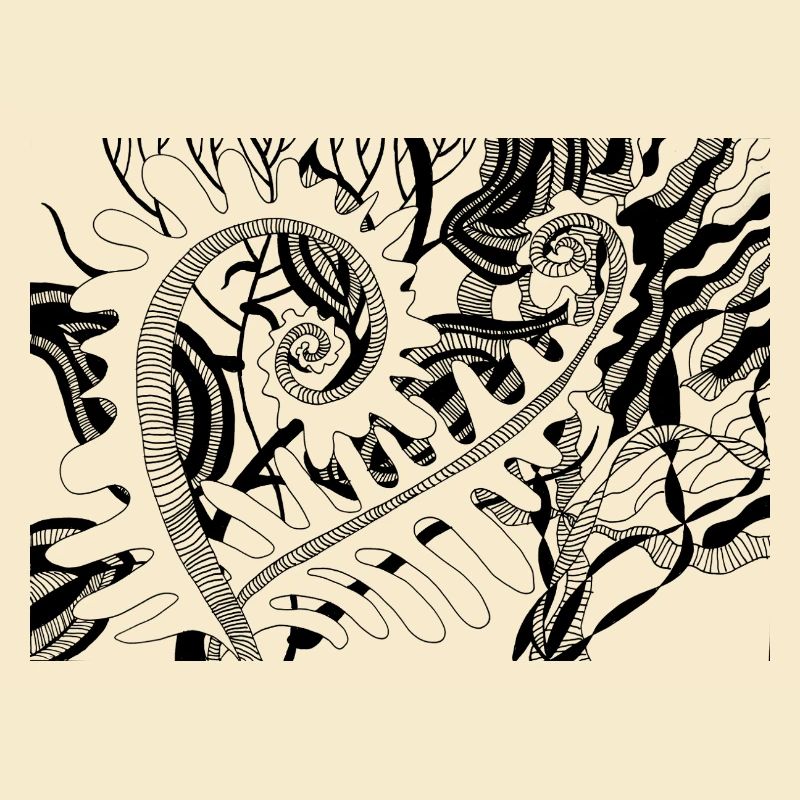 Fern