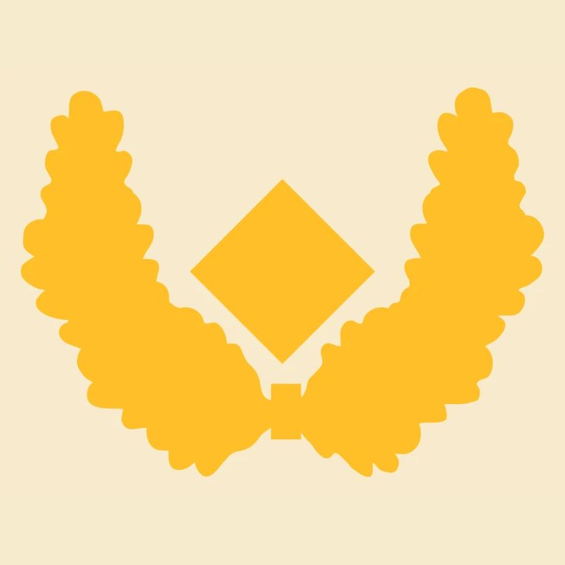 Brigadegeneral Dienstgrad