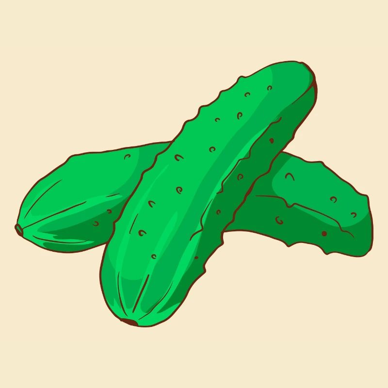 Cornichons cornichons concombres Cornichons concombres