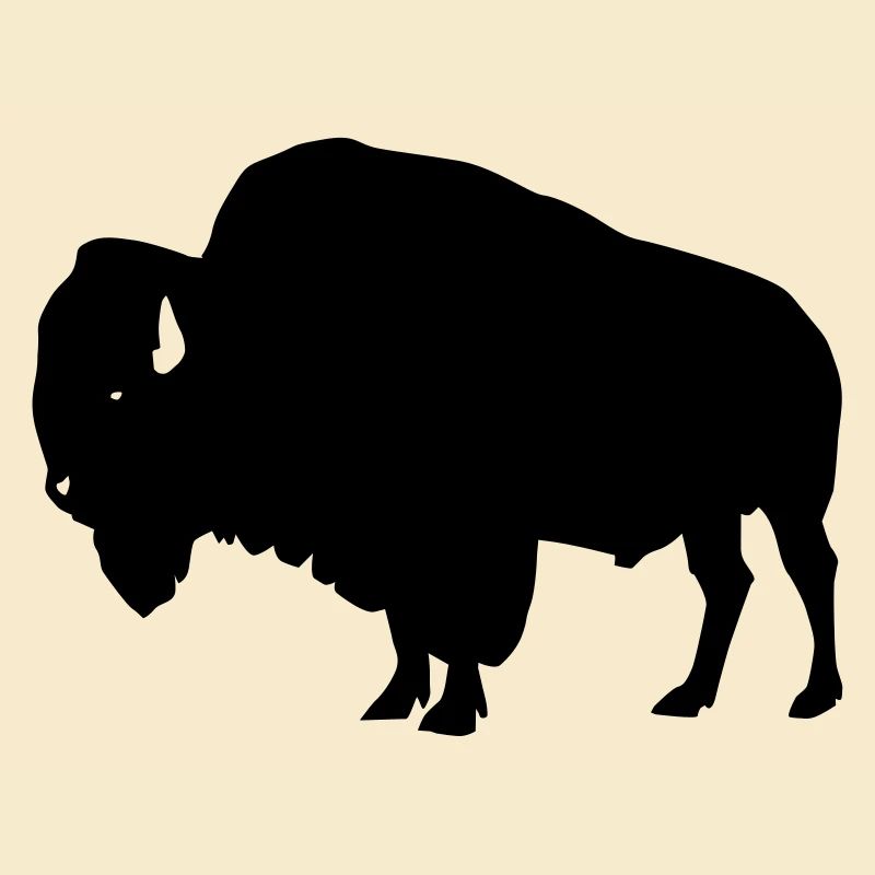 Bison