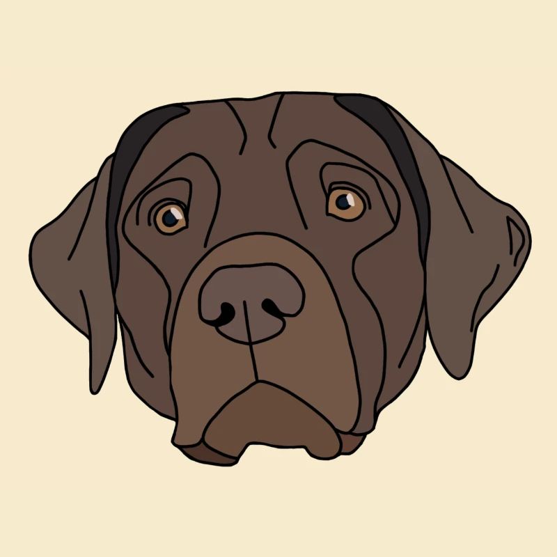 Conception de Labrador Retriever