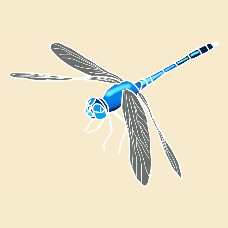 dragonfly
