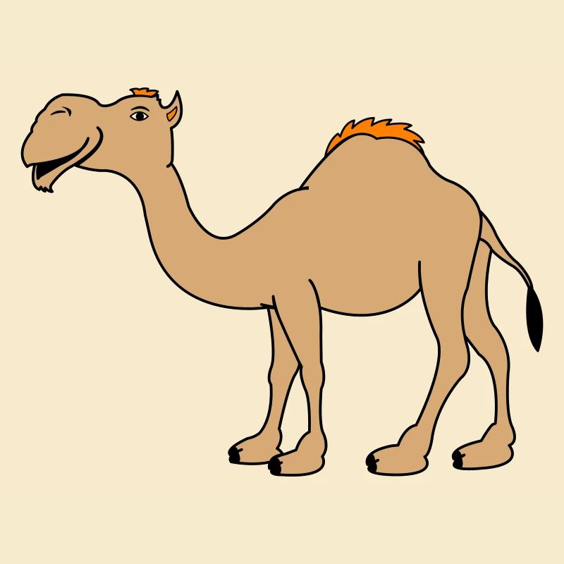 Camel