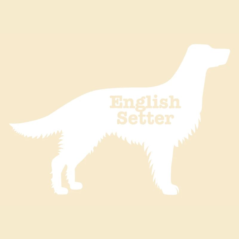 Englisch Setter