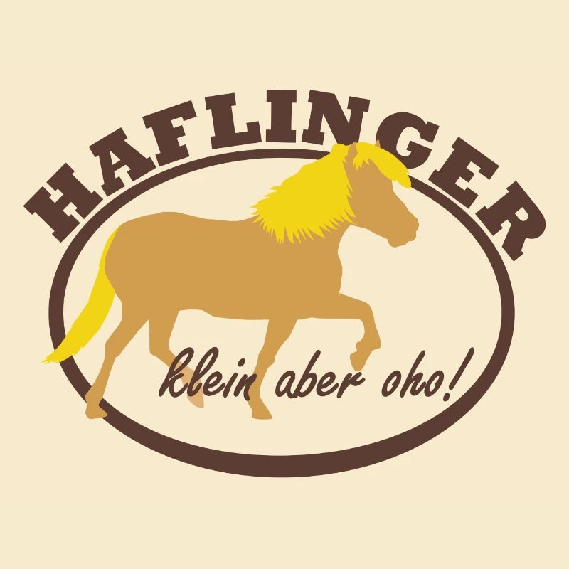 Haflinger, klein aber oho