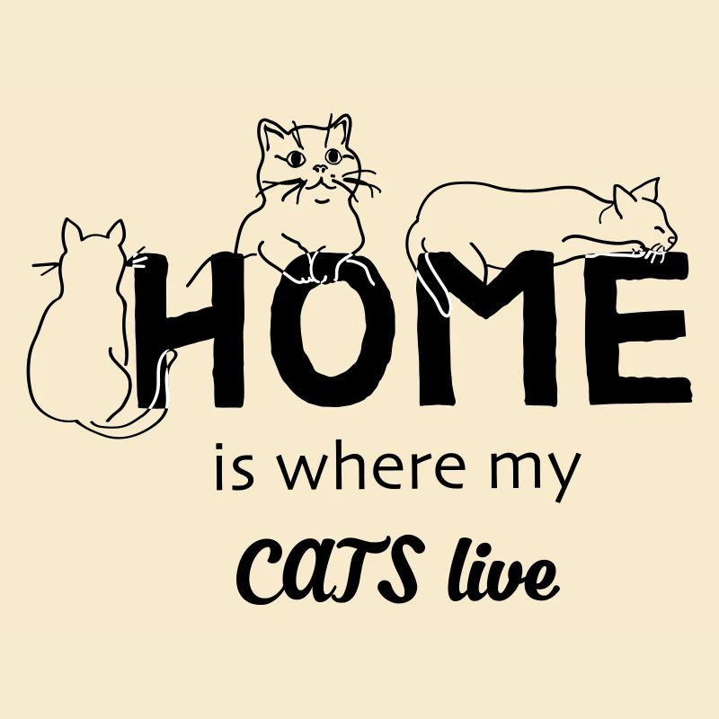 Katzen Zuhause