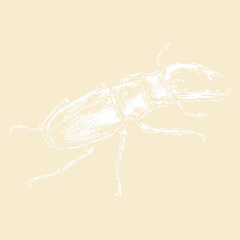 Conception de gros insectes