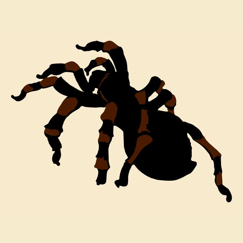 spinnen