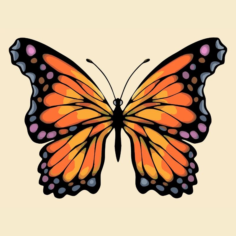 Schmetterling