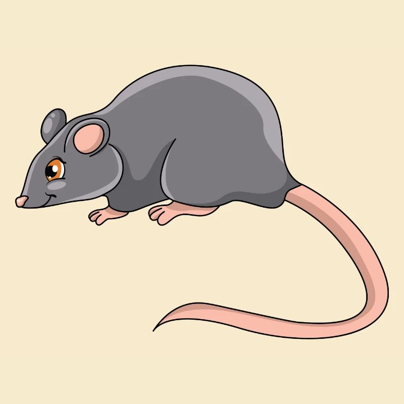 Ratte