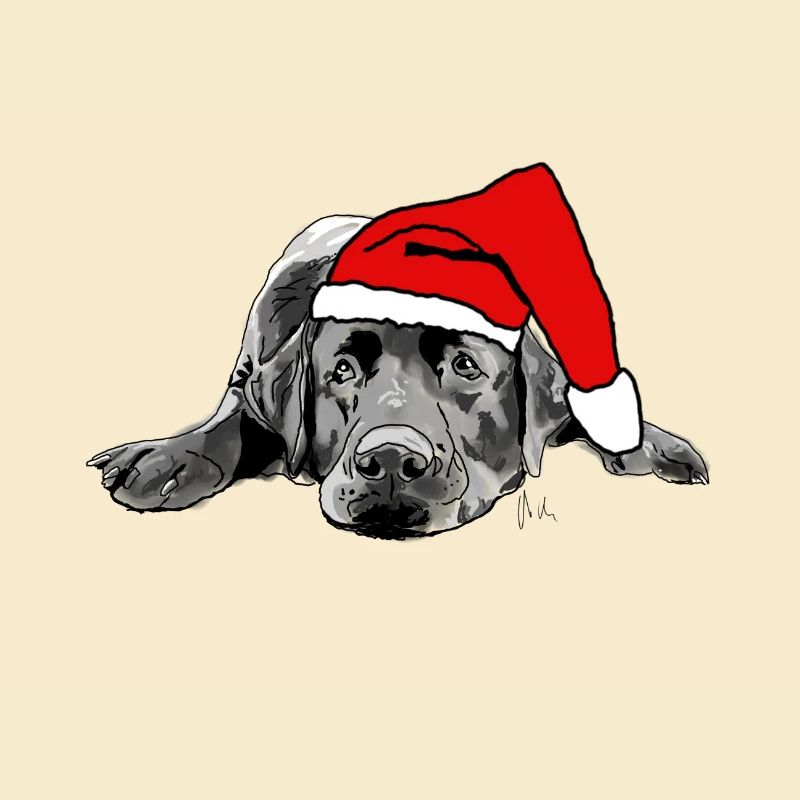 Labrador Weihnachten