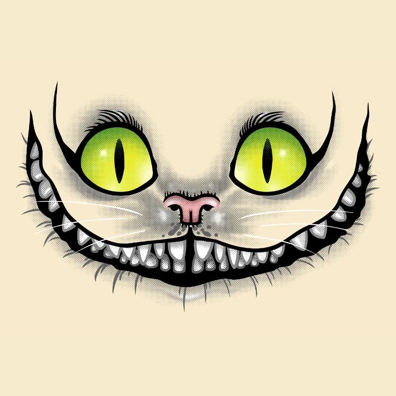Chat noir sourit dans le noir