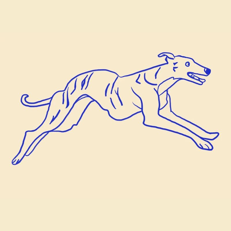 Greyhound Hund Laufen