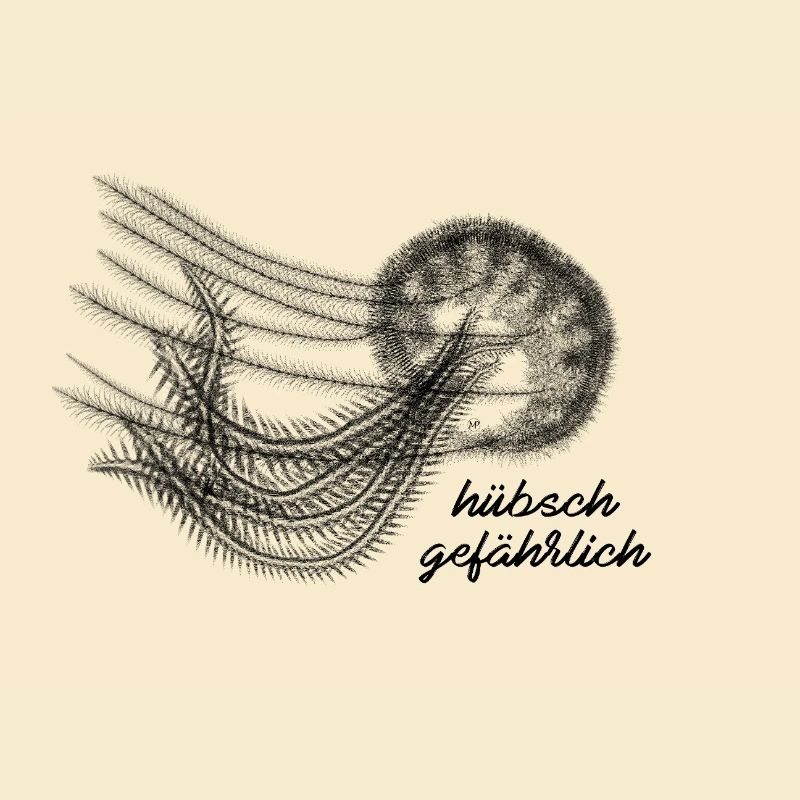 Qualle - hübsch gefährlich