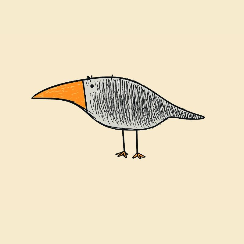 Bird with orange beak