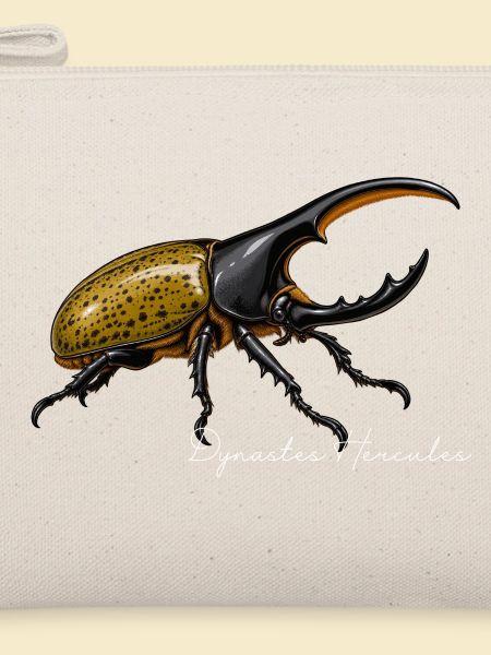 Herkuleskäfer Dynastes hercules