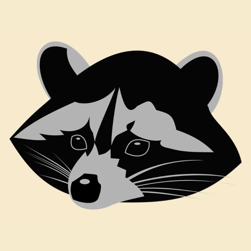 Waschbär ,Racoon