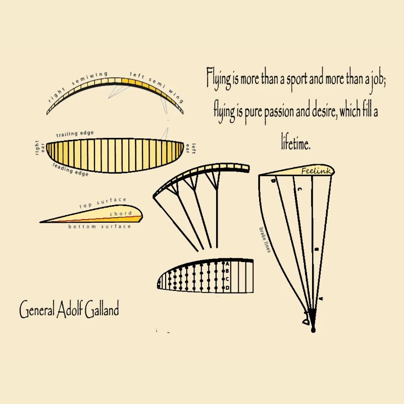 Gleitschirm Pilot Paragliding Aereo