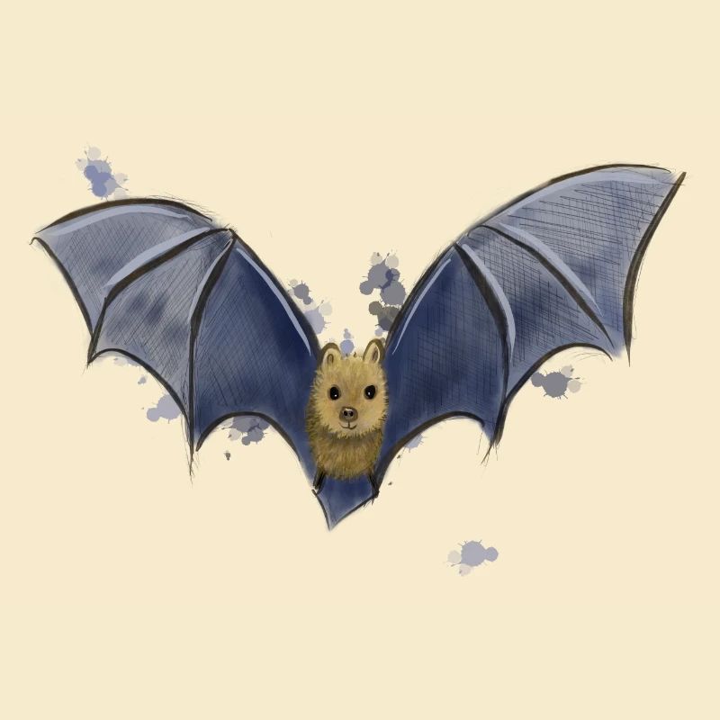 Fledermaus