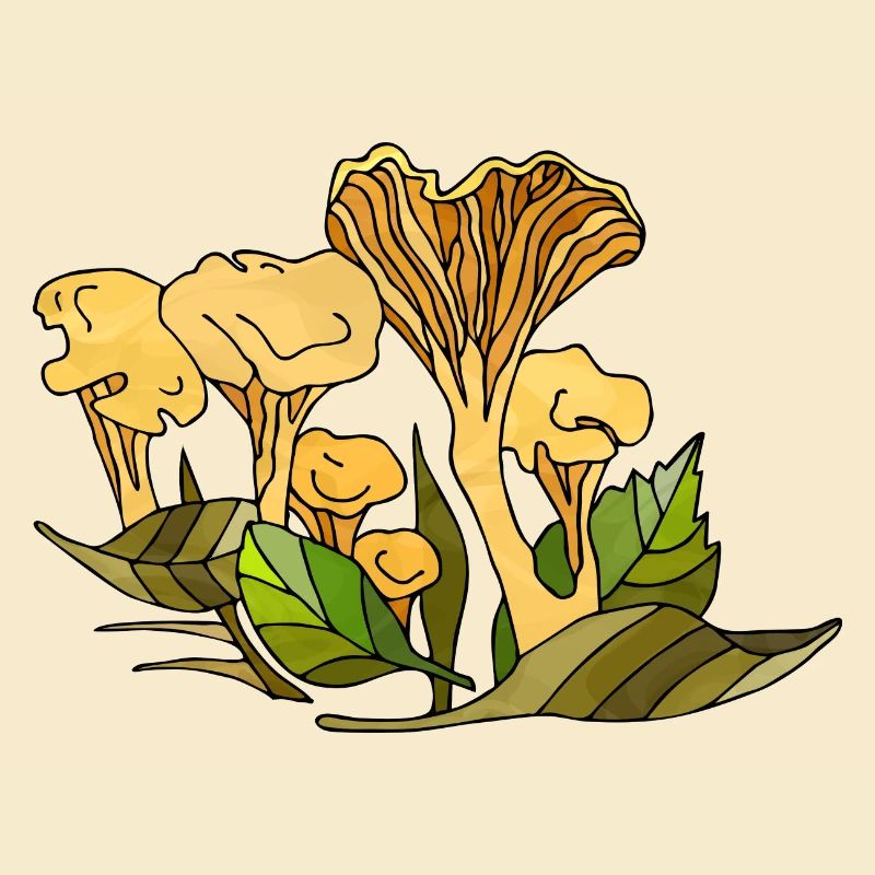 Pilze