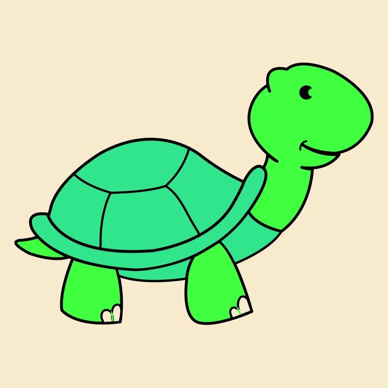 tortue