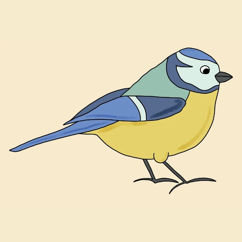small blue, multicoloured