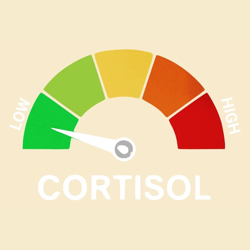 low cortisol skala 