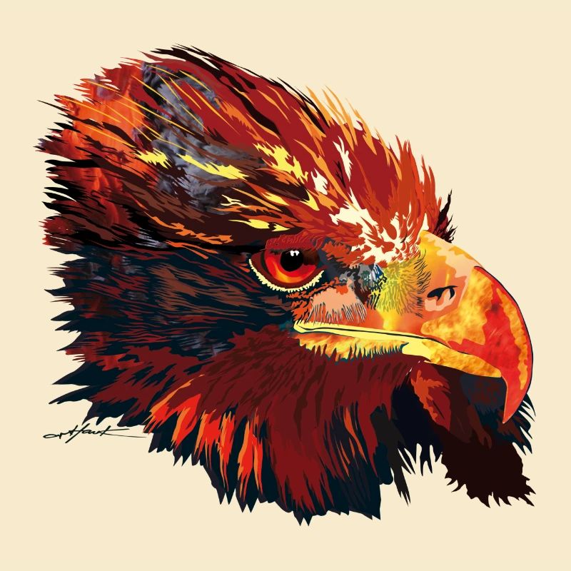 Adler arthawk
