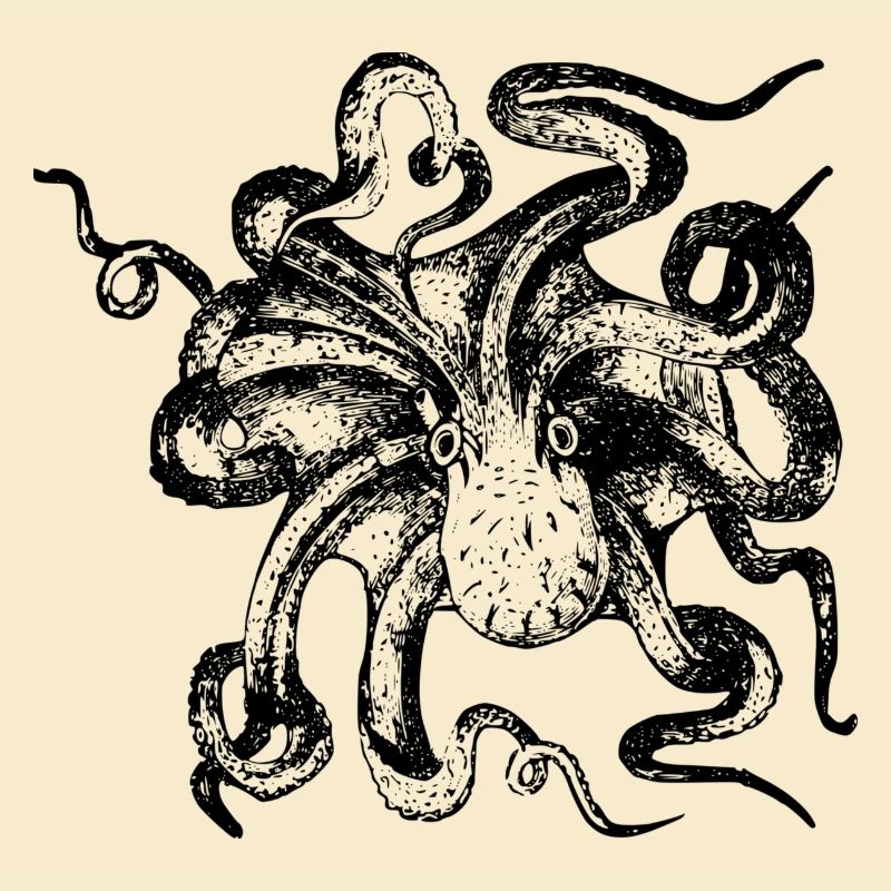Oktopus