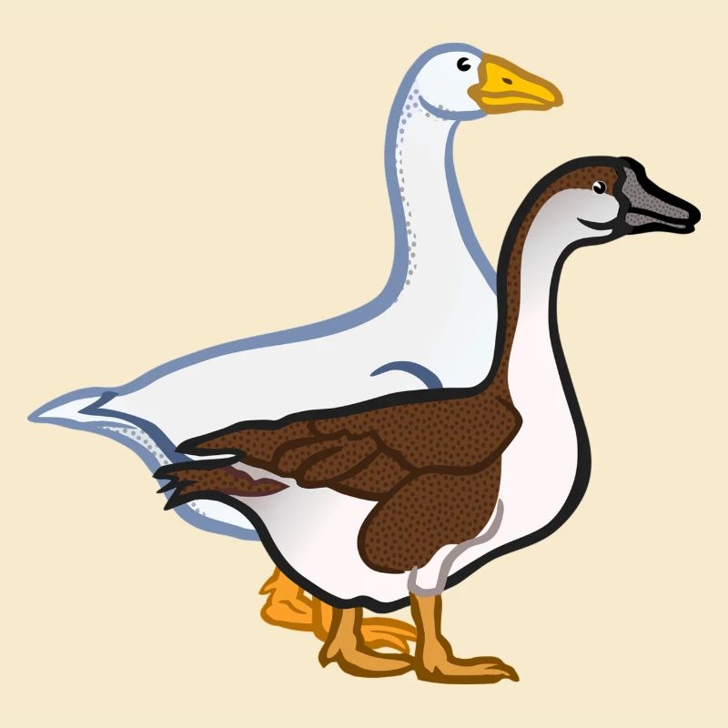 geese