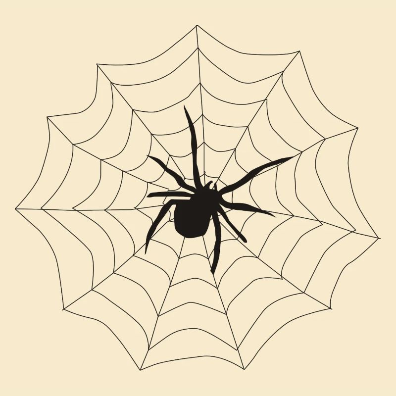 Spinne Netz
