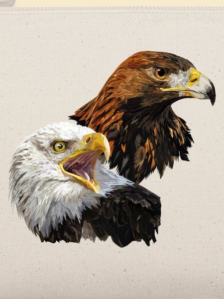Weißkopfseeadler und Steinadler