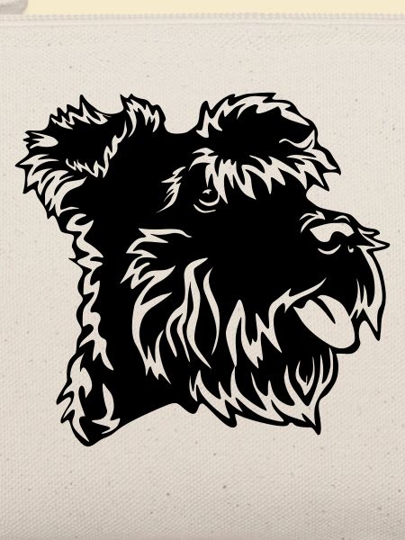 Zwergschnauzer Kopf