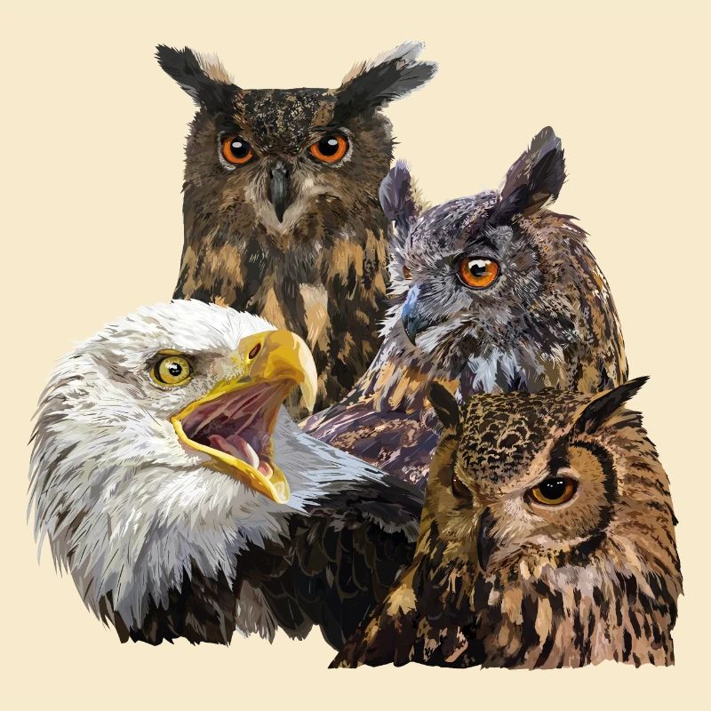 Greifvögel