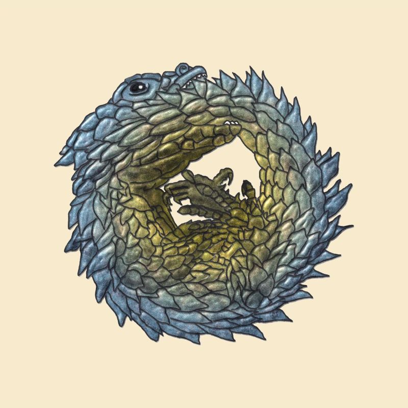 Armadillo Lizzard